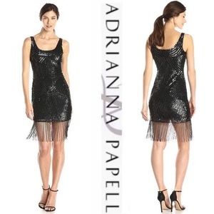 LIKE NEW Adrianna Papell Gatsby Cocktail Dress with Sequins & Beaded Fringe